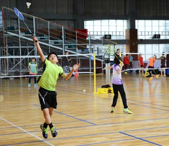 Badminton venues
